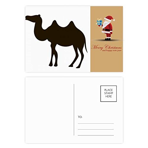 Cartes postales chameau noir lot de 20 pour ne plus manquer de cartes