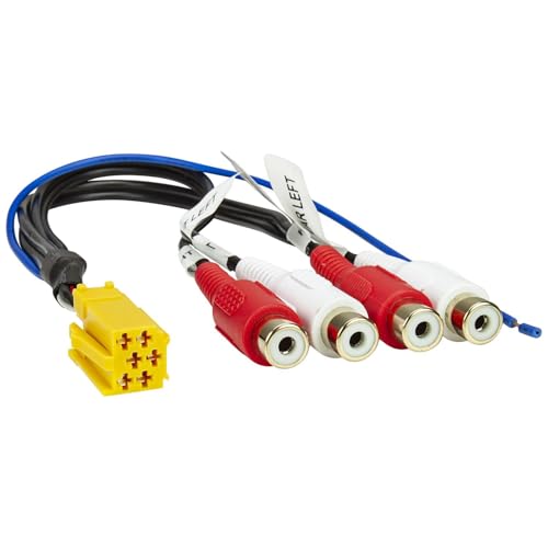 Collegamento dell'amplificatore a 2 / 4 canali