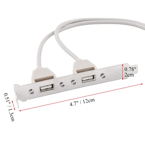 Conector de 9 pines a panel de expansión con 2 puertos USB 2.0 hembra y soporte de placa PCI 2