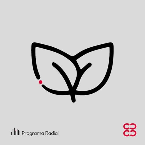 CCB Construyendo Sostenibilidad Titelbild