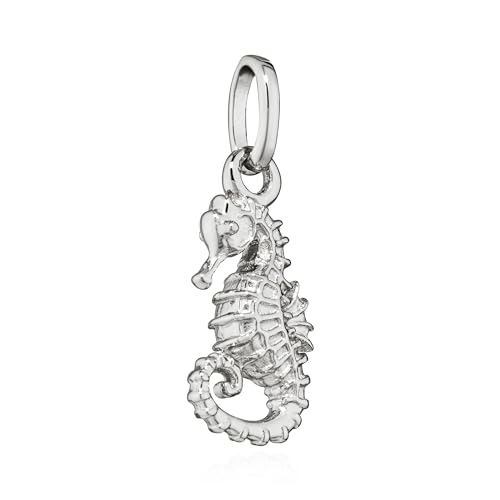 NKlaus Pendentif hippocampe en argent 925 15 x 7 mm amulette hippocampe maritime 15372, Argent