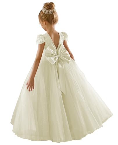 JISISANG Flower Girls Lace Cap Sleeve Dress for Wedding Puffy Tulle Back V-Neck Pageant Prom Dress with Bow