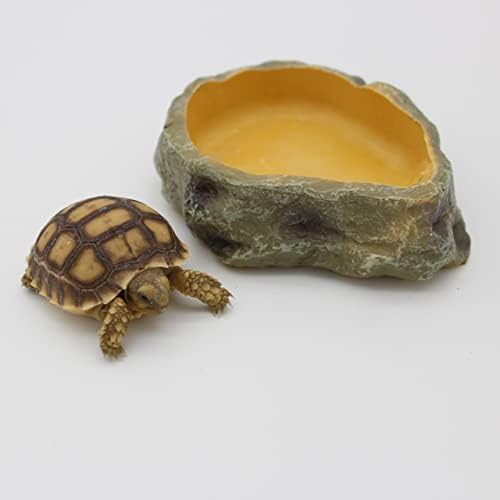 爬行动物、两栖动物和其他动物的水和食物碗(XS 码)