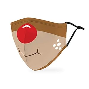 Weddingstar 3-Ply Adult Winter Washable Cloth Face Mask Reusable and Adjustable with Filter Pocket – Rudolph