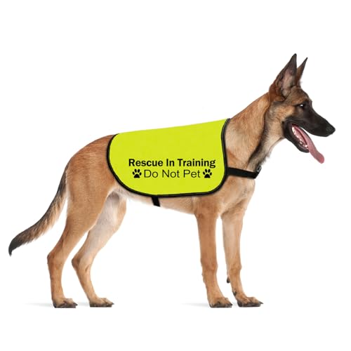 CENWA Rescue In Training Do Not Pet Dog Jacket Vest Nervous Anxious Training Dog Slogan Warning Vest (In Training Rescue M EU)