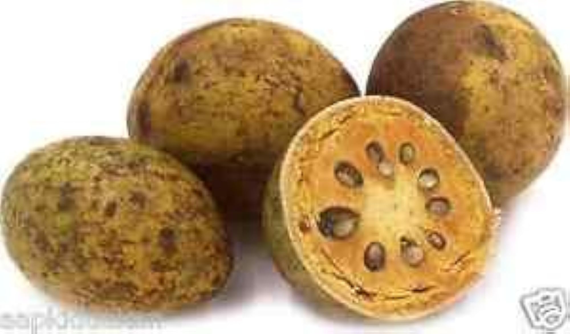 Pmw - Dried Bael - Maredu - Bilva - aegle Marmelos