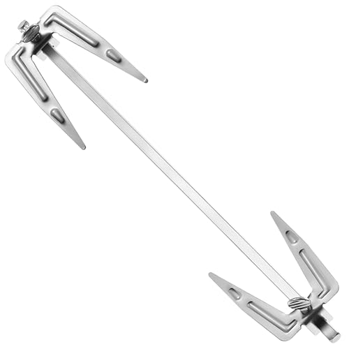 Frcolor Stainless Steel Air Fryer Fork Universal Roast Chicken Fork Fish Grilling Rotisserie Meat Air Fryer Accessories for Bbq Home Kitchen Outdoor 9.8inx1.9in