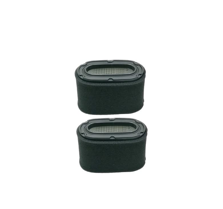 Combo filtro aria Stens 102-149 sostituisce Honda 17211-ZG9-800 17218-ZG9- 800