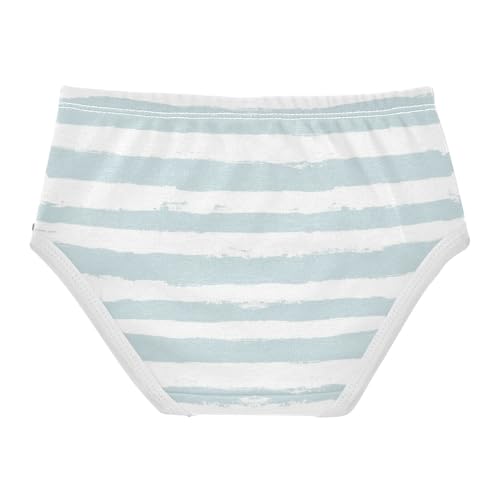 Organic Cotton Panties Hipster Triangle Panties Comfort Color for Baby Girls in Sizes 2T,3T, 4T, 5T, 6Y and 8Y2