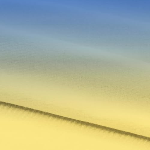 Toddler Girls Leggings Gradient High Waisted Yoga Workout Athletic Dance Running Pants for Kids 3-8 Years4