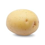 Debaere - Colomba 60 Plantas de patata