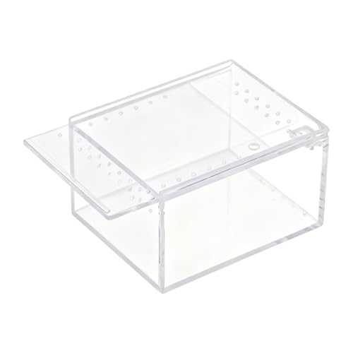 �W�����s���O�X�p�C�_�[ �n�r�^�b�g - ���� �� ������ �ɐB �e�� - �A�N���� �� �N�� �^���N | �g�J�Q �J�G�� ������ �J�^�c���� �J�� �p �ώ@ �ɐB ���a ���� �P�[�X