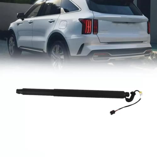 Support levage hayon électrique à capteur anti-pincement pour Sorento