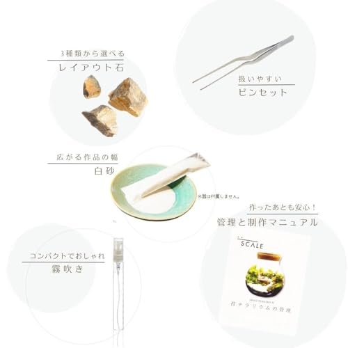 苔庵介る 苔テラリウムスターターキット M 13cm LED付