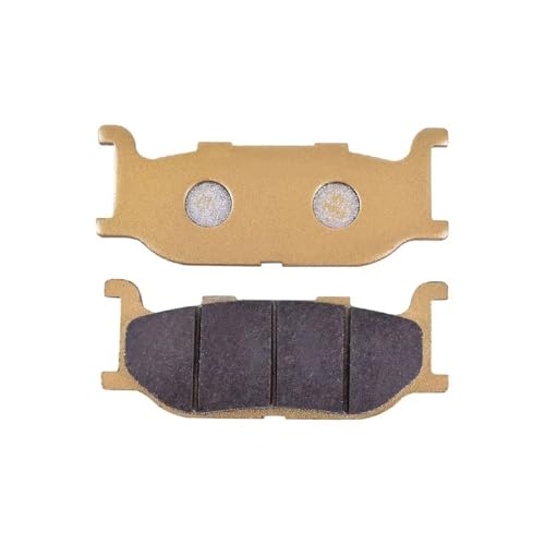 Plaquettes de frein moto résoud le sifflement pour SC R950 - 2