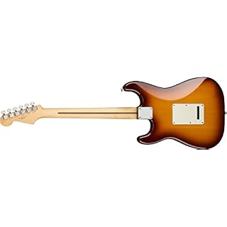 Stratocaster Mexicaine Player Plus Top Tobacco Sunburst touche Pao ferro - Les Beatles, Paul McCartney, John Lennon, RIngo Starr, George Harrison Stratocaster Mexicaine Player Plus Top Tobacco Sunburst touche Pao ferro – Image 2