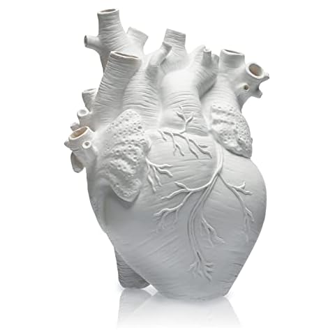 Vase Coeur Anatomique HUYIWEI Cover