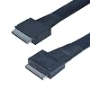 Oculink Cable PCIe 4.0 SFF-8611 to SFF-8611 8i Cable for Server (1.6 feet (50 cm))