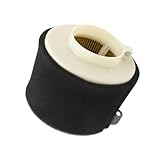 Hoypeyfiy 11029-1004 Air Filter Replacement for KAWASAKI MULE 500 520 550 600 610 2500 2510 2520