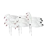 Avery GHG 3D Head Pro-Grade Windsock Decoys - Snow Goose with Painted Heads