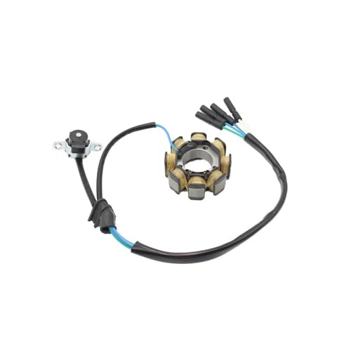 Bobines d'allumage de stator de moto contre les ratés CRF 450R