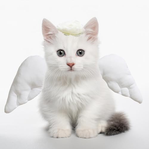 E Babyland PET ANGEL COSTUME SET Pet Angel Wings And Headband Costume Accessory Set Halloween Party & Birthday Party Dress Up Accessories For Cat Small Dogs Puppy Kitty Kitten Boy Or Girl thumb #3