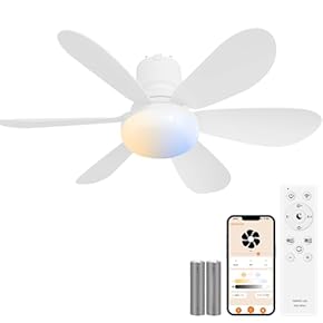 シーリングファンライト(照明) 通販 | Amazon Home&Kitchen