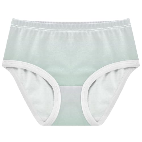 Joisal Cotton Girls Underwear Toddlers Magnolia Horizon Blue Gradient Panties Little Girl Fancy Kids Briefs Undies 2t