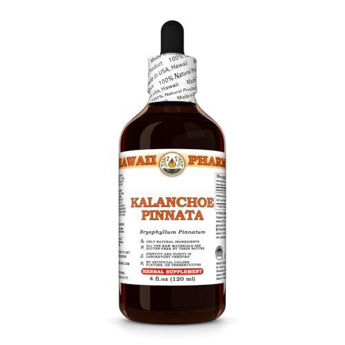 Kalanchoe Pinnata (Bryophyllum Pinnatum) Dry Leaf and Stem Tincture, Made in Hawaii, All Natural, Vegan, Pure Liquid Extract - 4 fl.oz