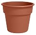 Bloem DC20-46 Dura Planter Terra Cotta 20in, Brown/A