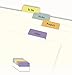 Avery Printable Self-Adhesive Plastic Tabs, 1-1/4