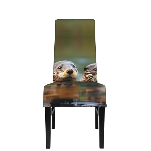 Housse de chaise salle a manger extensible motif loutre - 3