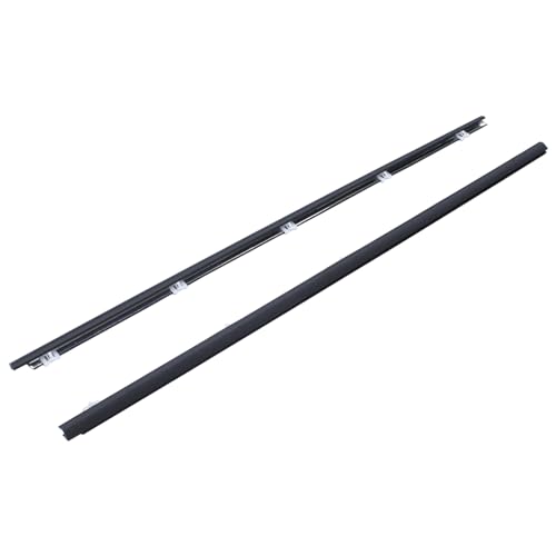 ApplianPar Door Window Belt Molding Outer Weatherstrip Seal for Honda