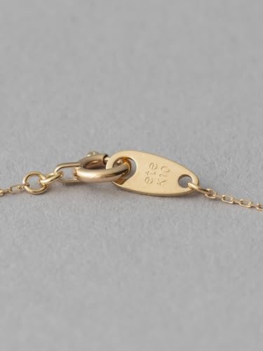 [エテ] レイヤー K10YGその3