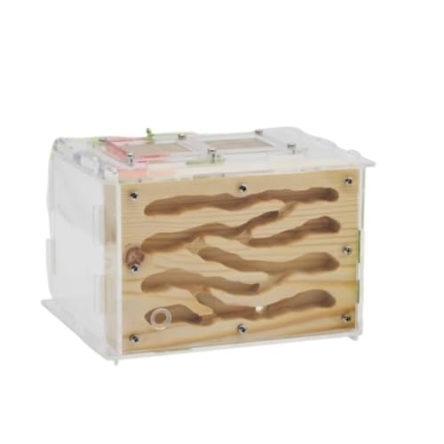 Nido Hormigas Casa Insectos Pet Hábitat De Granja Hormigas Casa con Área Alimentación Nido Taller Castillo Kit Hormiguero(A)