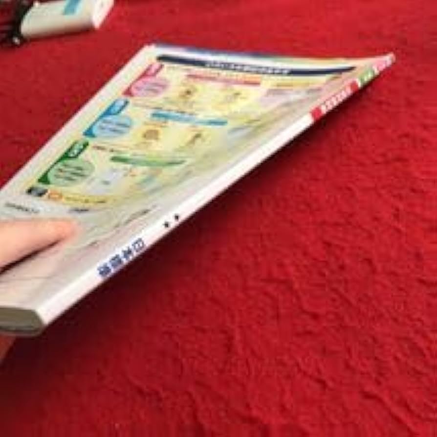 Amazon.co.jp: ゐ-111 社会科資料集 5年 教師用書 問題集