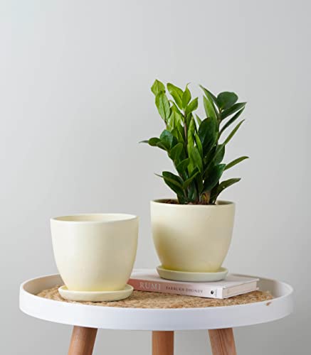 Image of Nurturing Green Set of 2 Modern Ivory White Ceramic Pots for Home & Indoor Decor | Ceramic Plant Pots (Size: 5 Inch Wide | Comes with Bottom Plate) - [Plants are not Included]