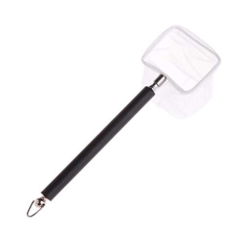 Ruiqas Stainless Steel Fishing Tank Net, Fish Shrimp Capture Catching Net with Extendable
