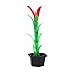 CULER 1 Set Baguette Magique à Fleur Tour de Magie Facile Magic Tricks Jouets pour Adultes Enfants Afficher Prop garçons Fun Jouets pour Enfants