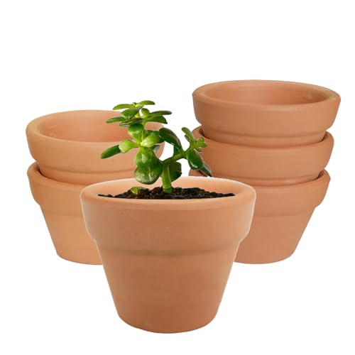 Molyorch 6 Pezzi vasi in Terracotta,Vaso Terracotta in Argilla Rosso, Piante Terracotta Vaso, Argilla Set Vaso, per Matrimonio Compleanno Casa e Ufficio Decorativo (10 * 10cm)
