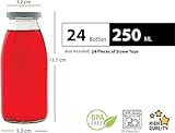 Zoom IMG-1 slkfactory 24 x 250 ml Zoom IMG-1 slkfactory 24 x 250 ml