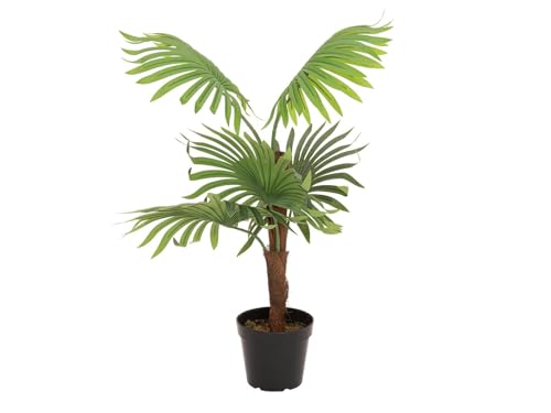 EUROPALMS Fächerpalme, Kunstpflanze, 88cm | Fächerpalme mit großen Kunststoffwedeln