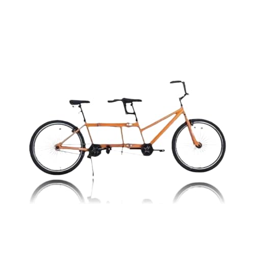 26C`܂􎩓], ݃^f] lp r[`N[U[oCN _uV[^[ X`[[Xebvt[ OVu[L (̓IW) [sAi]