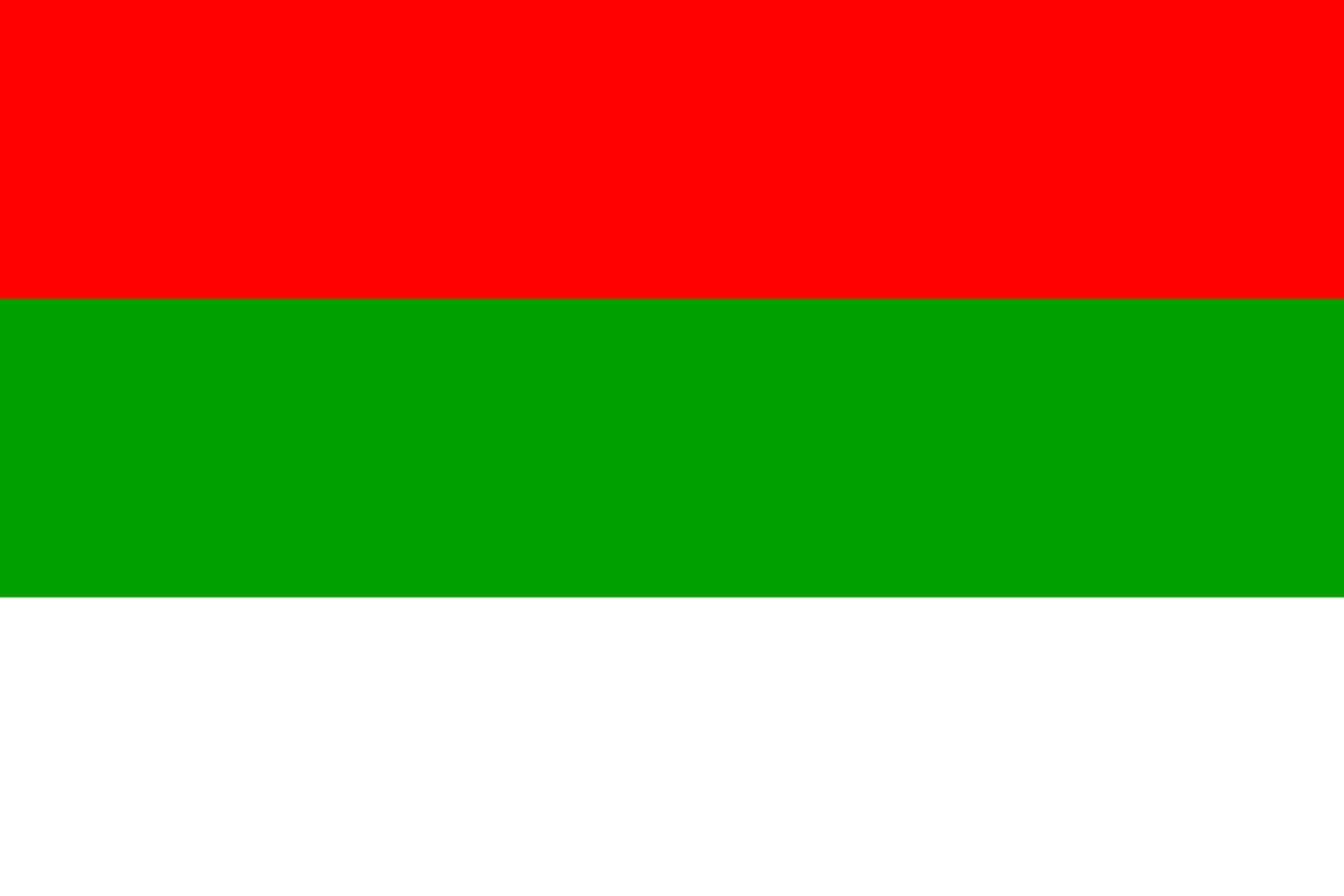 Drapeau XL Liflandia Governorate pavillon de prestige paysage 2.16m²