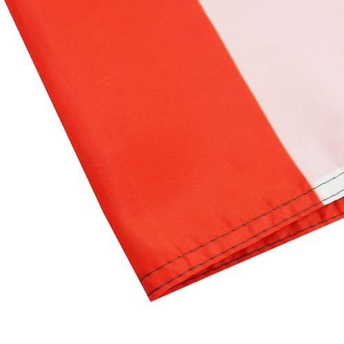 Image of AZ FLAG - Suriname Flag - 2x3 Ft - 100D Polyester Surinamese Banner with Two Metal Grommets - Fade Resistant - Vivid Colors - 2' x 3' Feet - 90x60 Cm