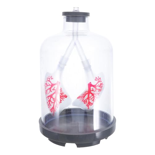 Modèle pulmonaire pour expliquer la respiration sans schémas abstraits