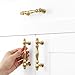 BEROSSA 10 Pack 3 Inch Brushed Gold Kitchen Cabinet Handles Gold Cabinet Pulls Gold Hardware for Cabinets 2510 Drawer Dresser Cupboard Bedroom Bathroom