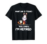 What Day is Today who Cares I'm Retired Horse T-Shirt