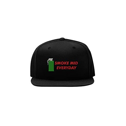 Smoke Mid Everyday Geek Gamer Broderad Snapback Basebollkeps Hip Hop Keps