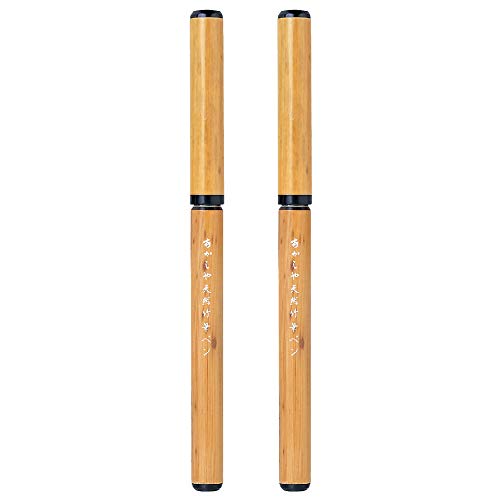 Stylo pinceau japonais fude noir pour réussir vos tracés sans bavure lot de 2